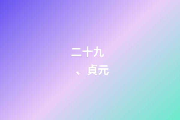 二十九、貞元